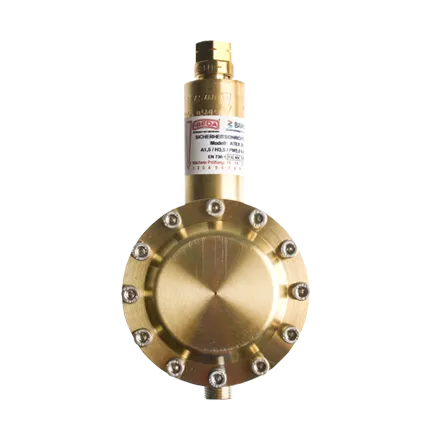 Atex 20 veiligheidsventiel 3/8L
