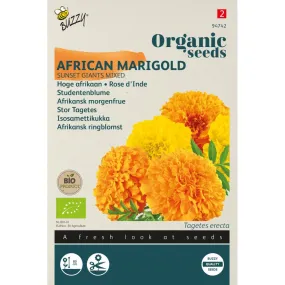 Buzzy Organic Tagetes, Afrikaan Sunset Giants gem. BIO (94742)